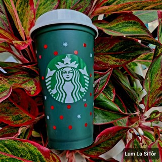 Ly Starbucks Reuseable bản Limitted