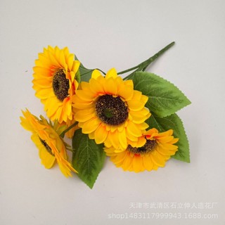 CÀNH HOA HƯỚNG DƯƠNG