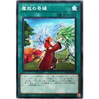 Adamancipator Friends |JP| Common