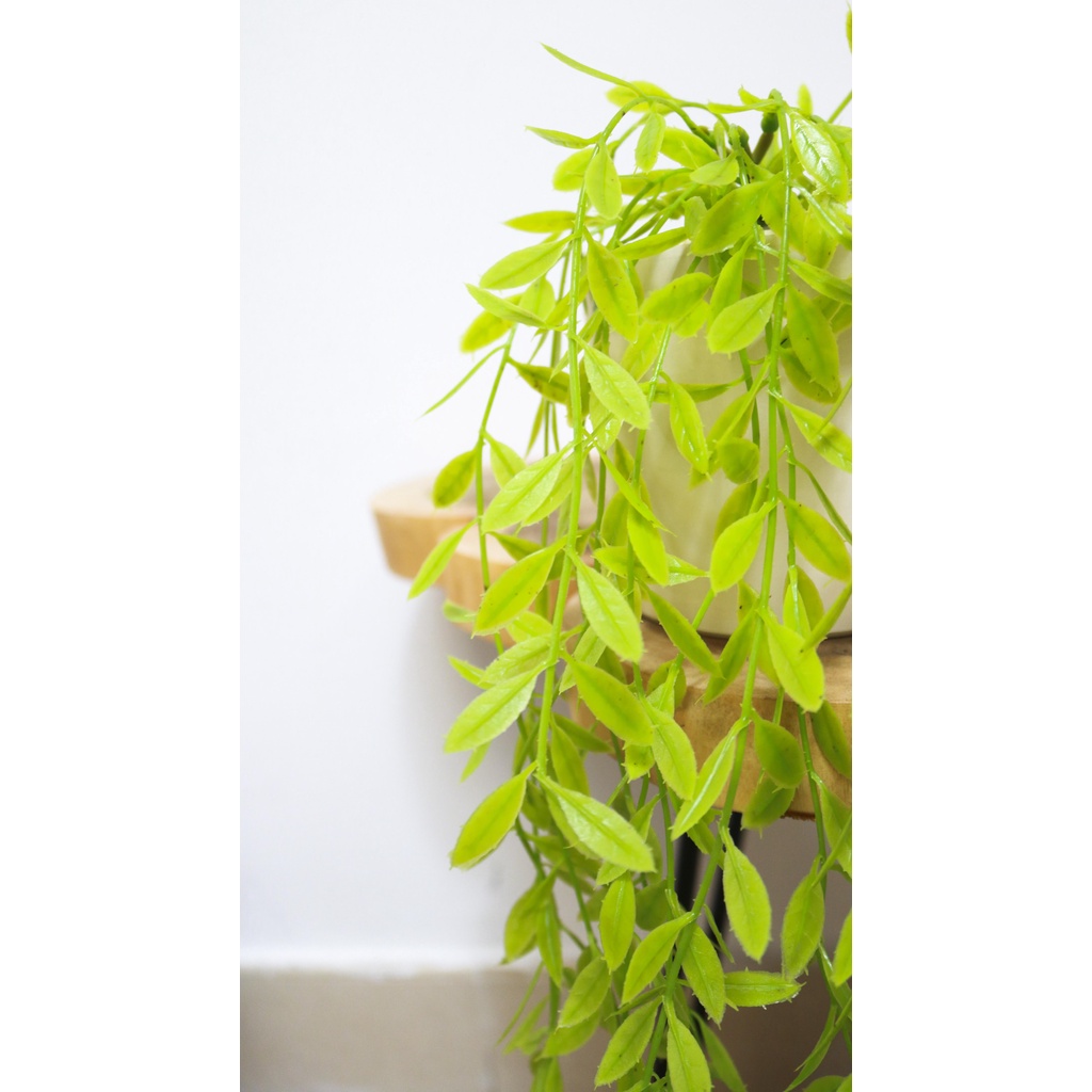 Cây giả,Chậu Rũ Cúc Tần trang trí dài ̀50cm