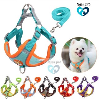 Đai yếm dắt chó mèo Hàn Quốc bán chạy số 1 - Dây dắt kèm Yếm Ngực chó phản quang đêm đẹp nhiều màu sắc full size SML2XL