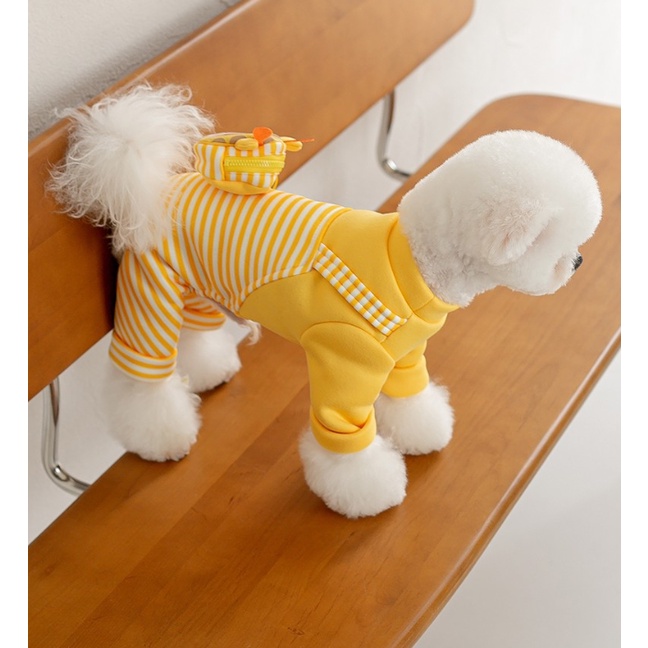 JUM HƯƠU VÀNG KÈM TÚI XINH XẮN, LÓT LÔNG ẤM ÁP MÙA ĐÔNG CHO THÚ CƯNG