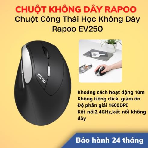 Chuột Công Thái Học Không Dây Rapoo EV250 | Hàng Chính Hãng | Bảo Hành 24 Tháng