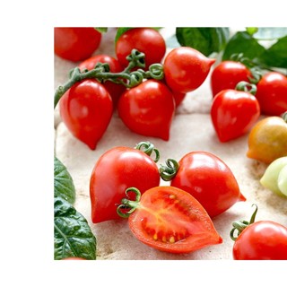 0.1gr hạt giống cà chua cherry dài sanmazano