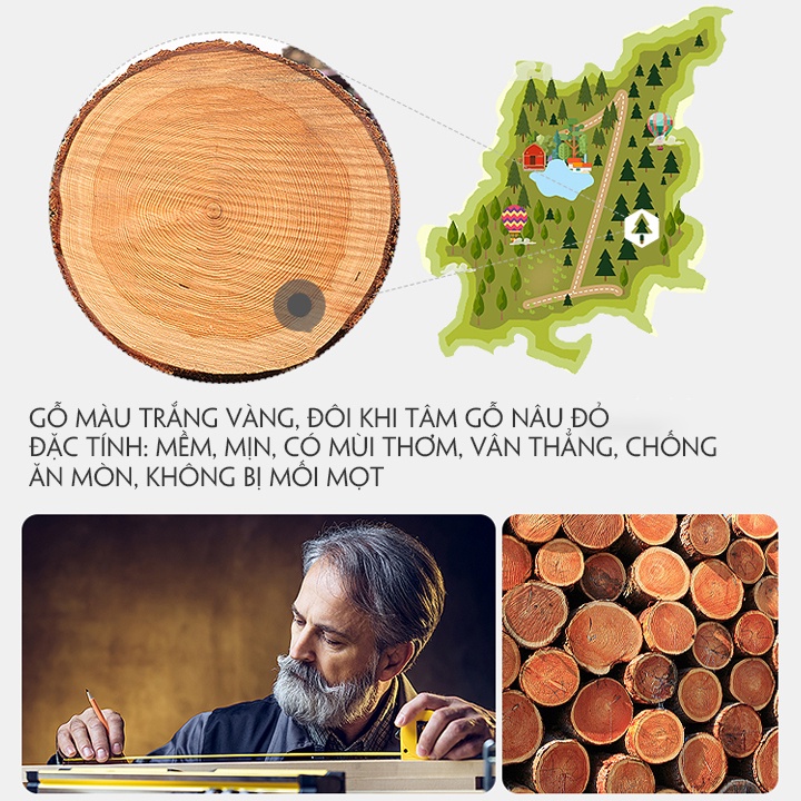 Giường nhựa cho bé, giường cho trẻ em Kích thước 142x78x61cm, bảo hành 2 năm