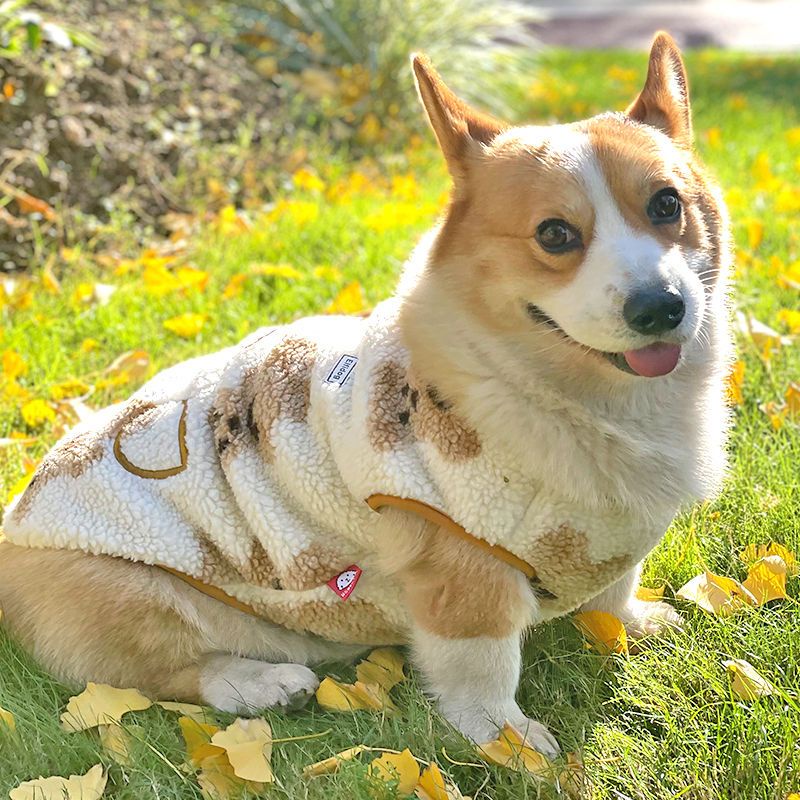 Áo Khoác Giữ Ấm Dày Dặn Phong Cách Phương Tây Cho Thú Cưng