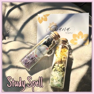 Study Spell