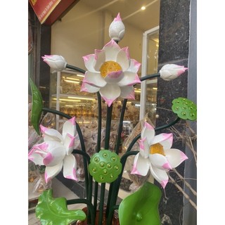 Bình Sen Trắng Cao 87cm