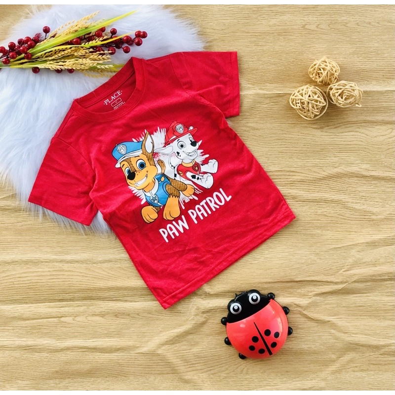 🦖 Áo cotton Place xuất bé trai từ 10-25kg