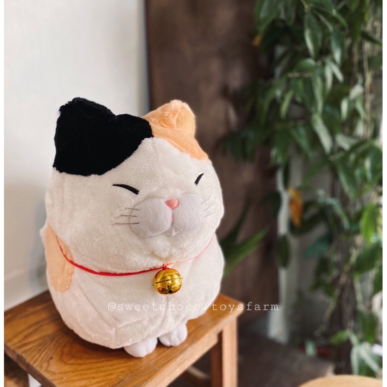 Mèo ú tam thể Amuse chính hãng