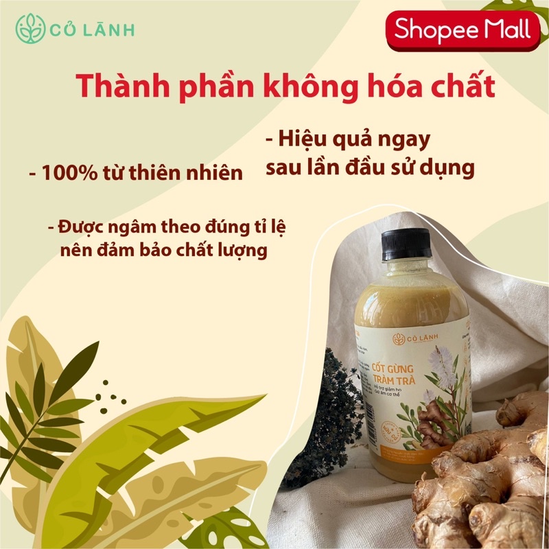 Cốt gừng tràm trà Cỏ Lành tắm bé, ngâm chân 500ml