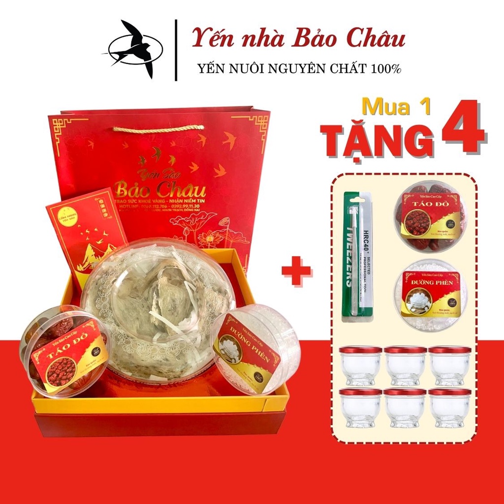 Tổ yến thô 10-12 tổ vừa hộp 100g, yến sào tốt cho sức khỏe, hỗ trợ tăng sức đề kháng