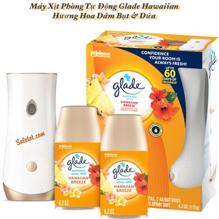 MỚI !!! BÌNH XỊT PHÒNG TỰ ĐỘNG GLADE HƯƠNG HOA DÂM BỤT & TRÁI THƠM