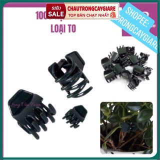 Set 10 Kẹp Bướm loại to cố định cây lan, giúp cành Lan đứng vững không bị gãy gập