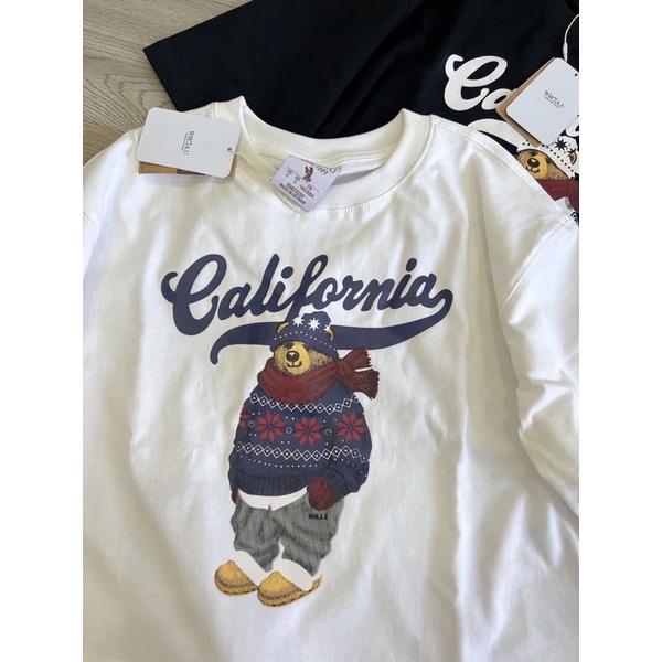 Áo thun Gấu lửng