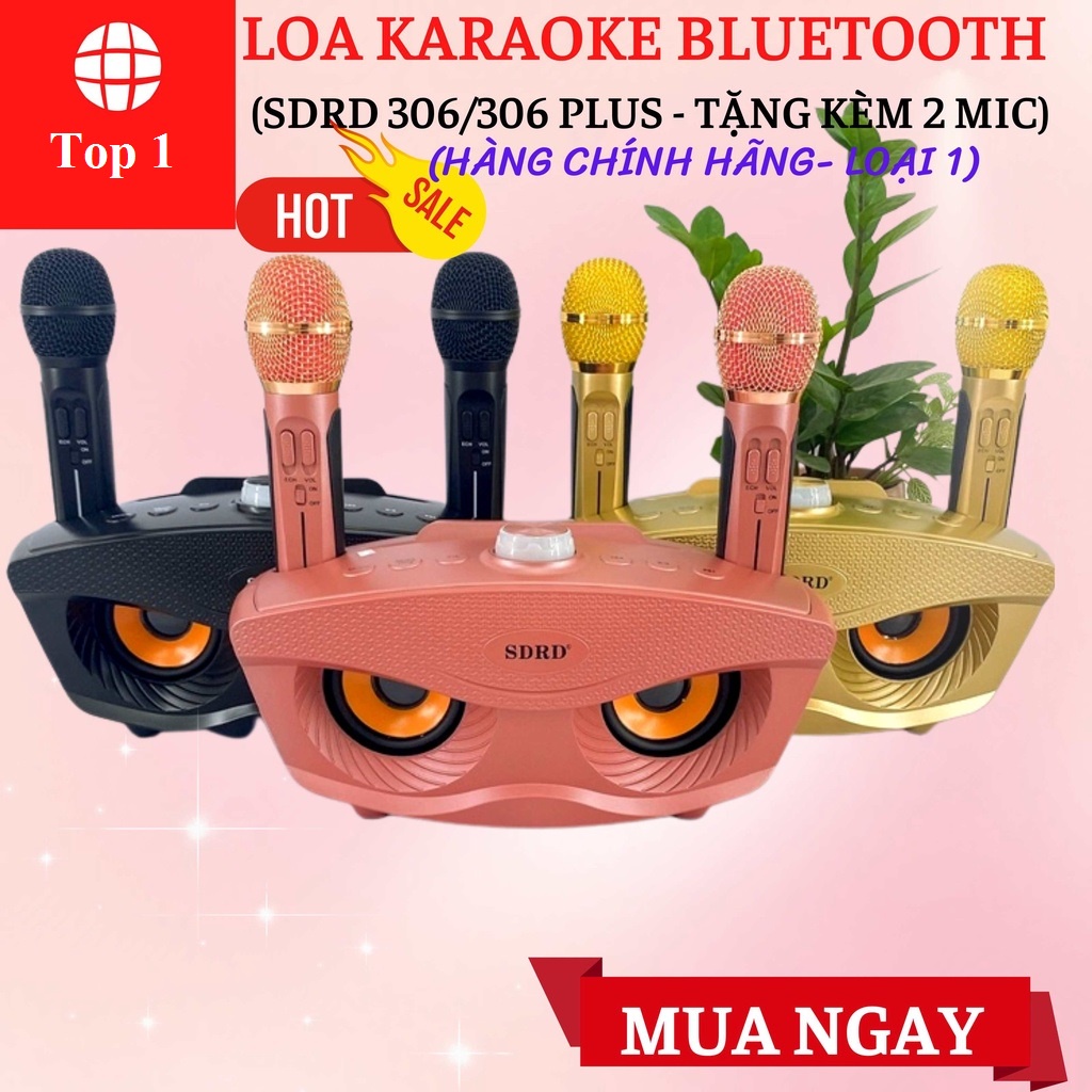 Loa Karaoke Bluetooth Di Động SDRD SD 306 Loa kèm 2 micro hát karaoke Không dây