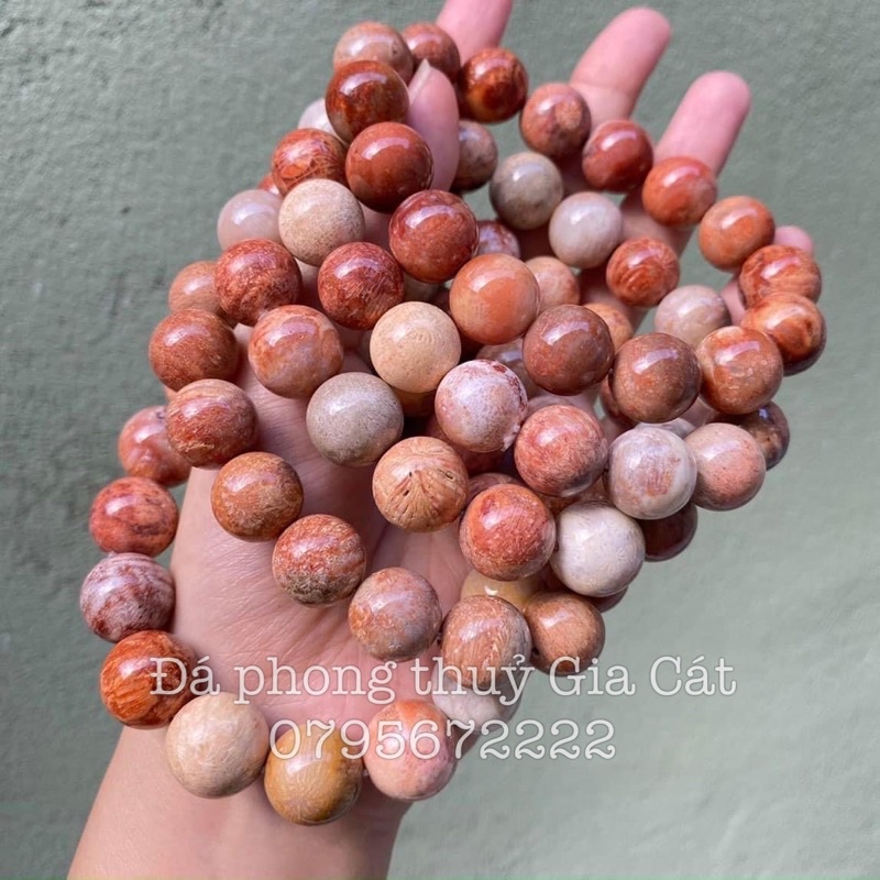 Vòng tay đá san hô hoá thạch triệu năm chuẩn vip kiểm định