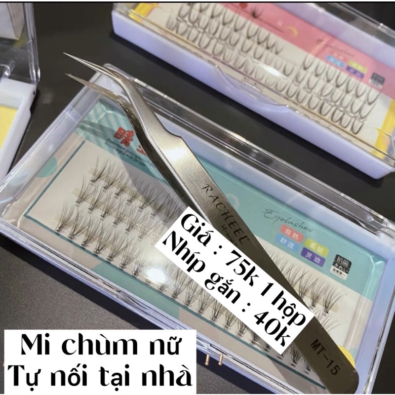 Mi chùm dán từng khóm nhỏ