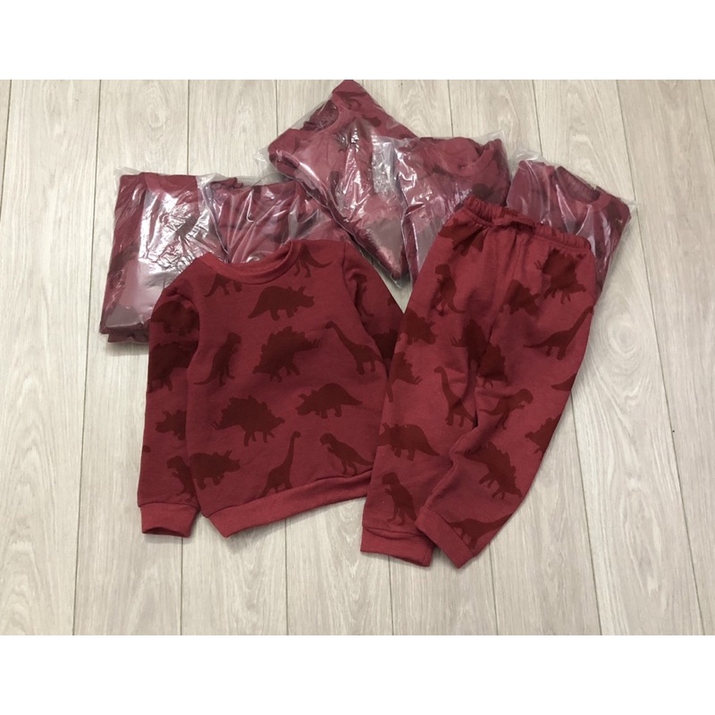 Bộ nỉ hoạ tiết khủng long đỏ next cho bé trai siêu đẹp size từ 10-24 cân