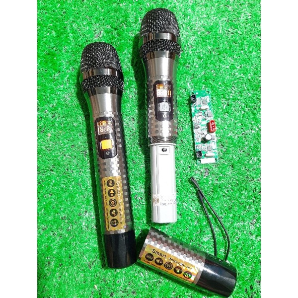 Micro Loa Kéo Kim Cương