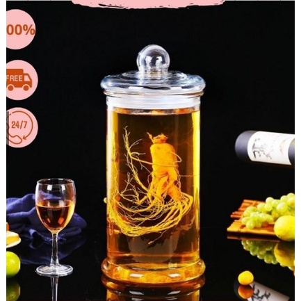 Bình ngâm rượu ngâm sâm trụ trơn 10L bằng thủy tinh nắp đậy có zoăng không vòi