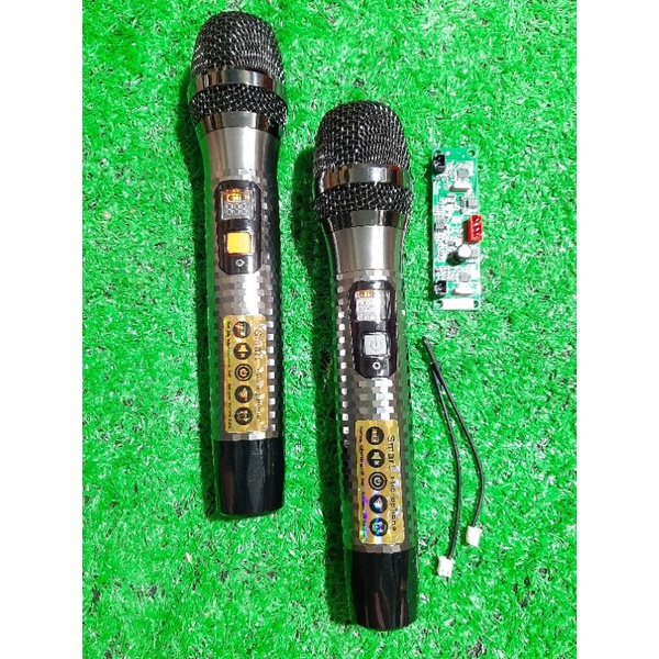 Micro Loa Kéo Kim Cương