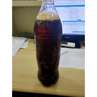 hoa đu đủ đực tươi