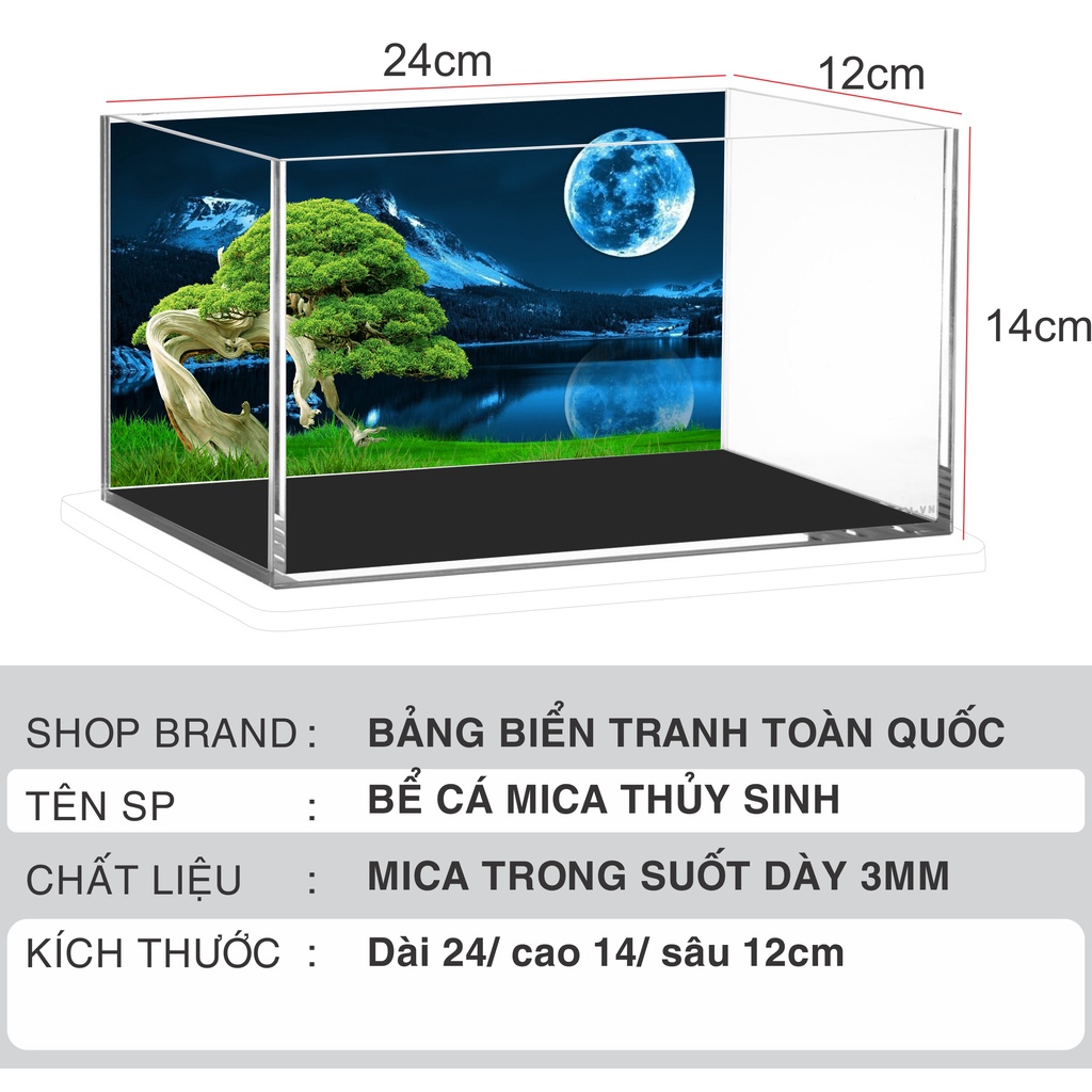 Bể cá thủy sinh mini để bàn chất liệu mica mẫu trăng 3