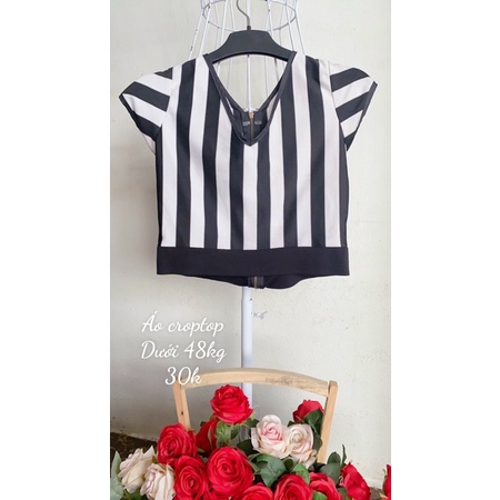 Áo vin thun dáng croptop