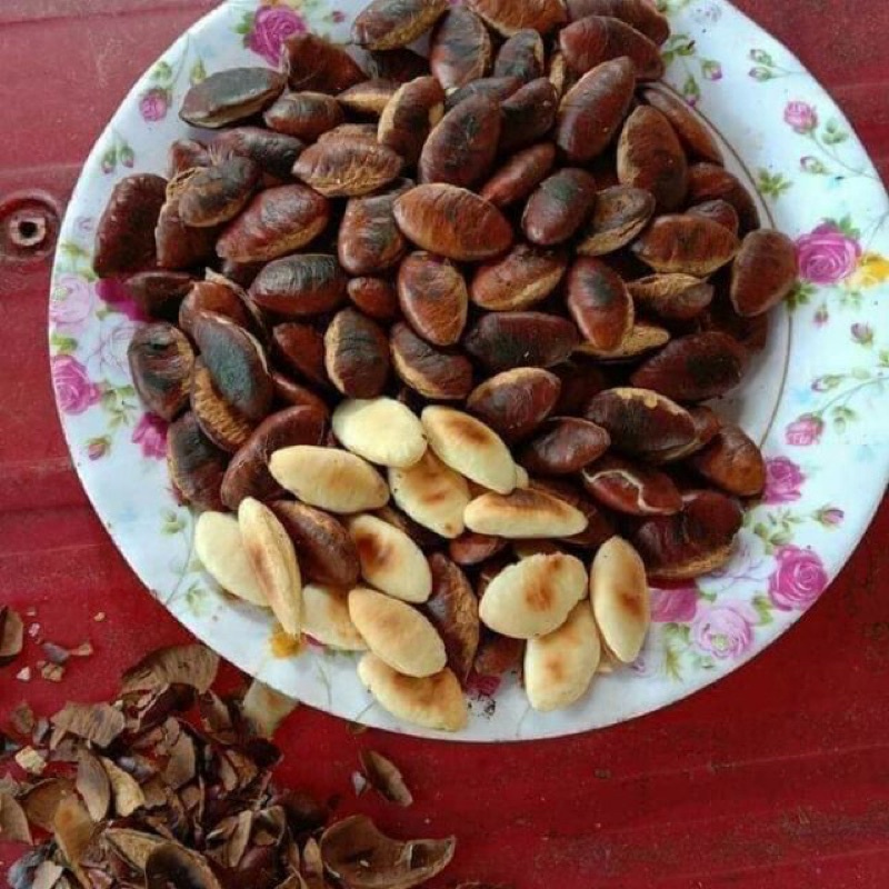 Hạt Knia mang đậm hương vị núi rừng, món độc đãi khách dịp Tết