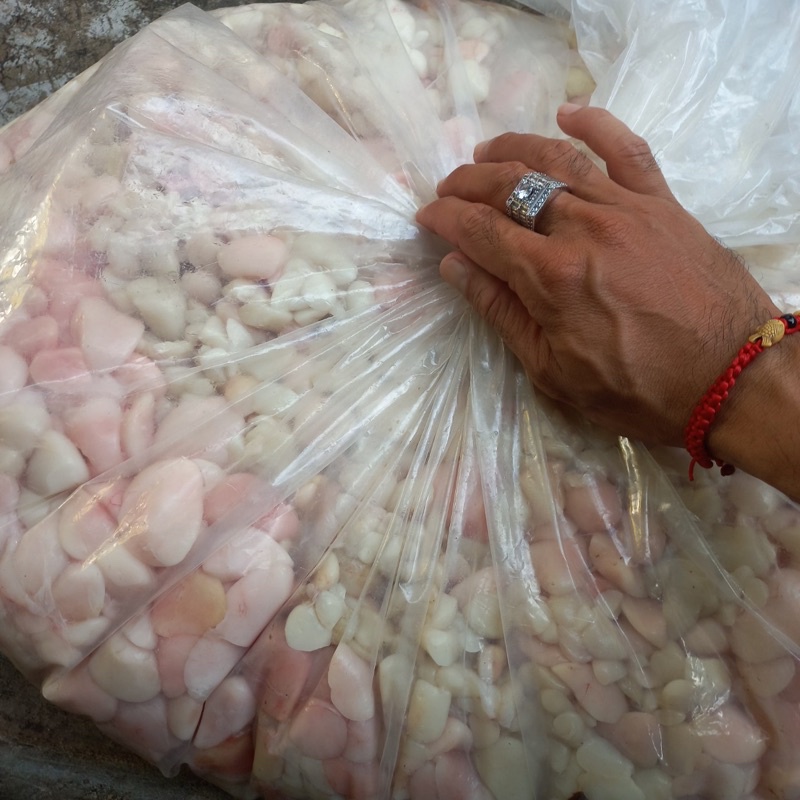 0,5kg MỠ TRĂN NGUYÊN CHẤT 100%