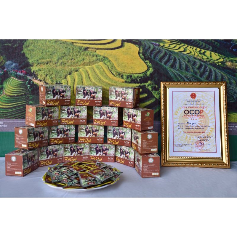 Hộp Trà quế Quế Phát 40g (20 túi lọc 2g) (Vị Nhẹ thơm) - Đặc sản vùng Quế Văn Yên Yên Bái