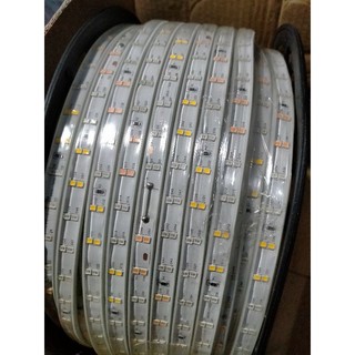 [ cuộn 100m] Led 2 hàng siêu sáng 2835