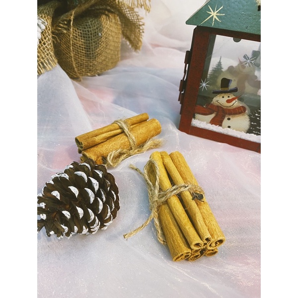 COMBO BÓ QUẾ CAM SẤY KHÔ TRÁI THÔNG TRANG TRÍ GIÁ SINH/ PHỤ KIỆN TRANG TRÍ CÂY THÔNG/ NOEL