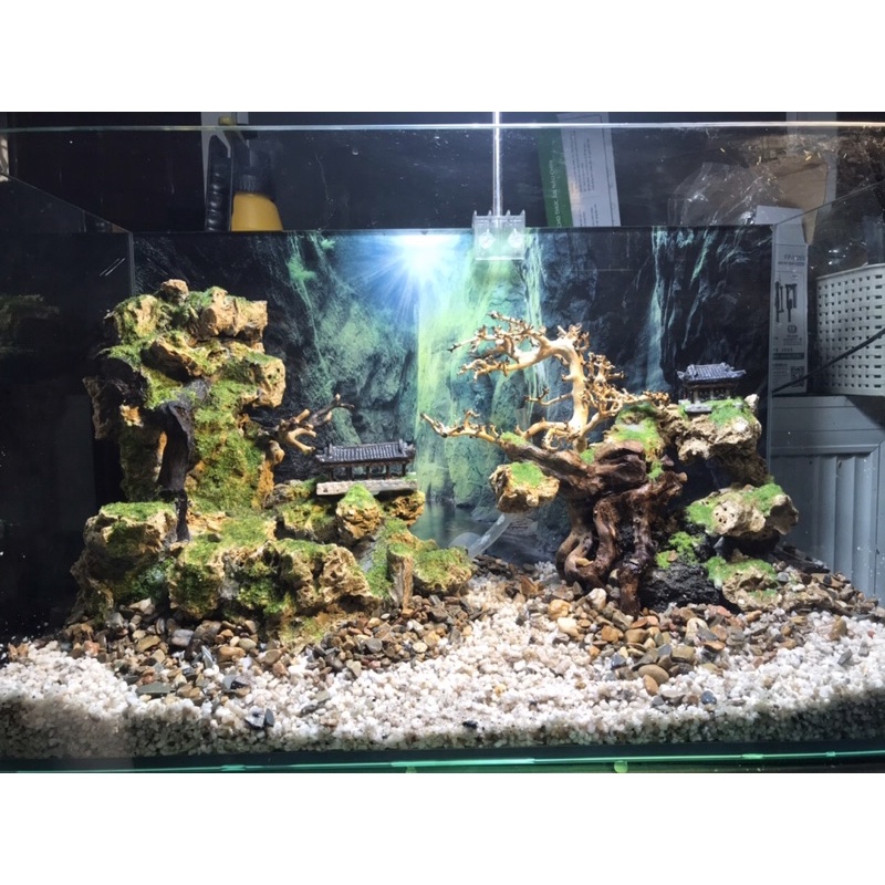 Hồ thuỷ sinh kết hợp với tiểu cảnh thác cát độc đáo - Aqua Mặt Trời Vàng