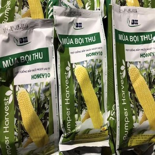 2Gr Hạt Giống Bắp Mỹ Honey