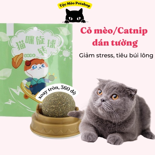 Viên cỏ mèo/Catnip dán tường túi zip- Giúp mèo thư giãn,tiêu búi lông