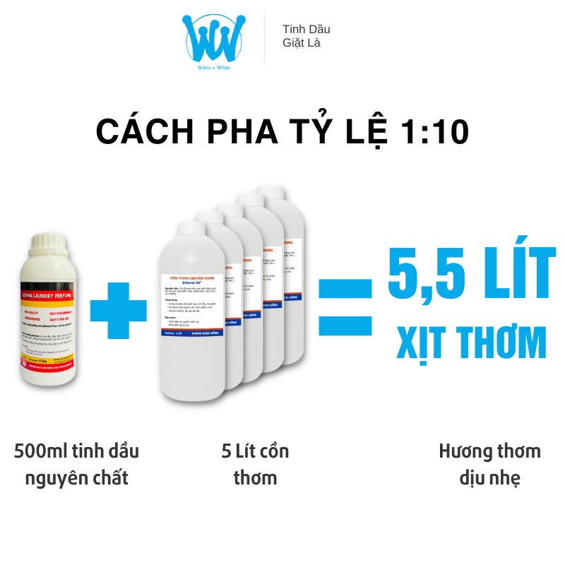Hương thơm sang trọng, quý phái và khác biệt