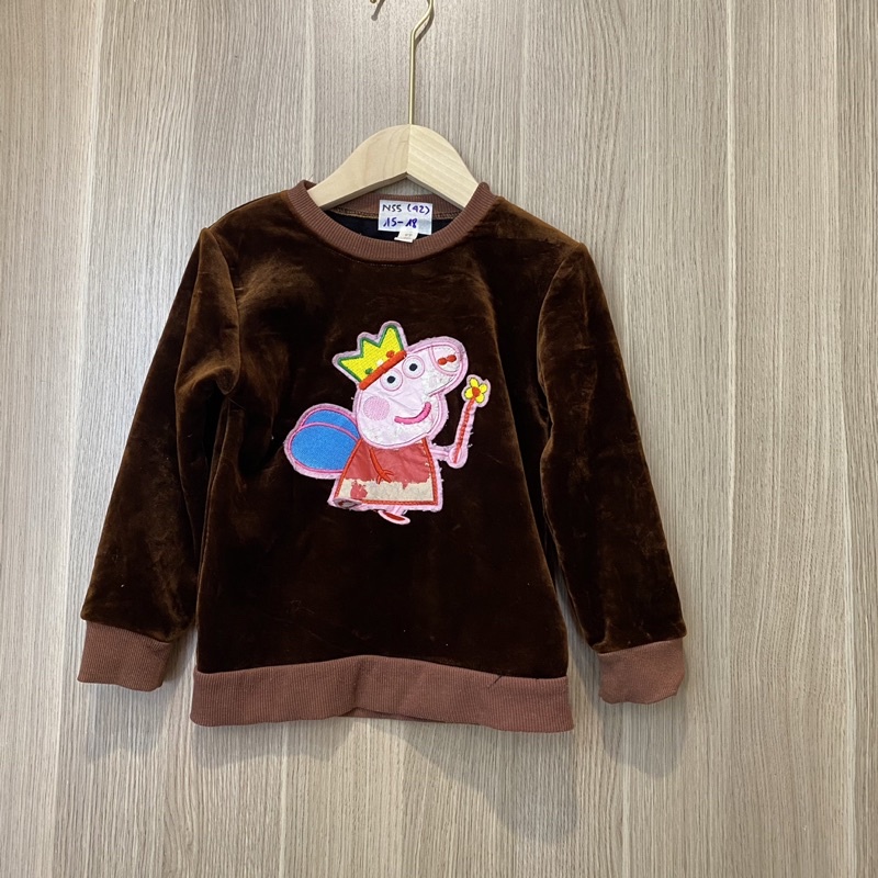 Áo sweater nỉ nhung cho bé hàng 2hand size 15-18kg N55