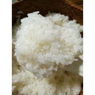 gạo séng cù tròn