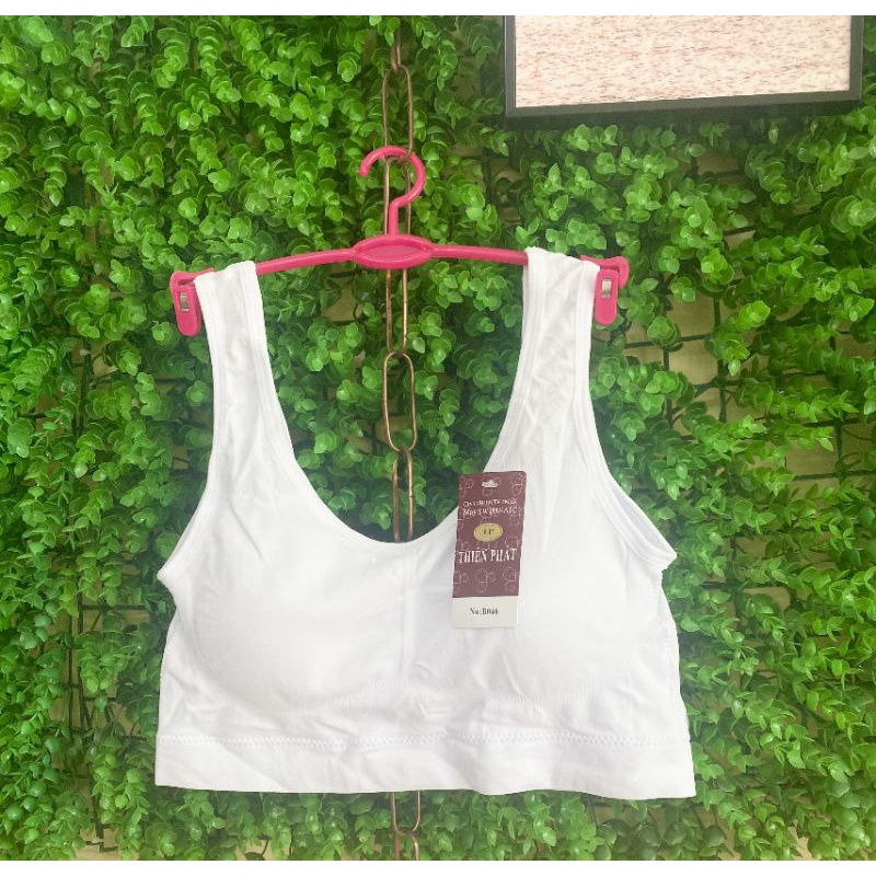 Áo Lót Dạng Chui Cho Bé-Áo Lá Xuất Khẩu Cho Gái Cấp 1,2,3 AB1