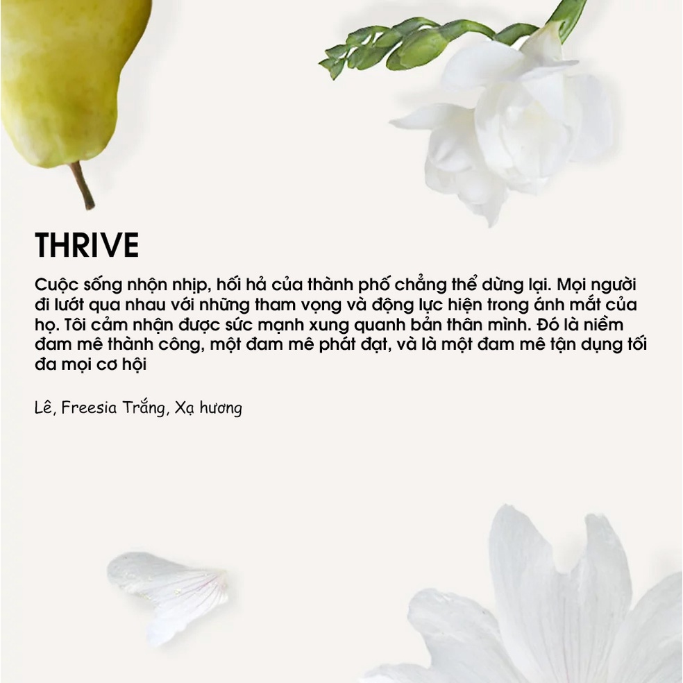 Bộ Tinh dầu treo xe ôtô ĐÁ NÚI LỬA chính hãng Thái lan - Yugen Vietnam