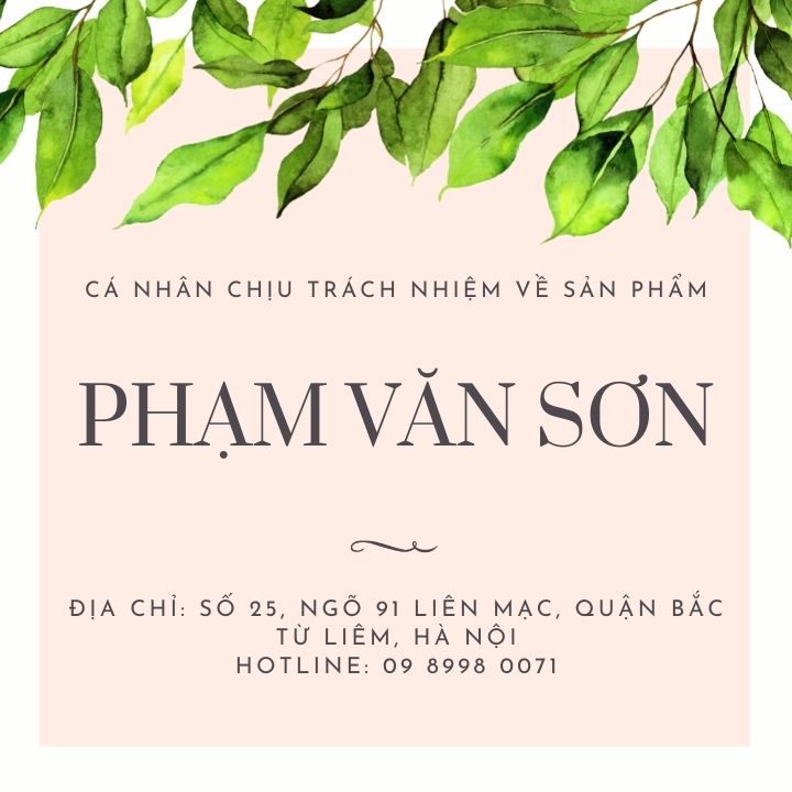 Đèn trang trí gắn tường DT1121