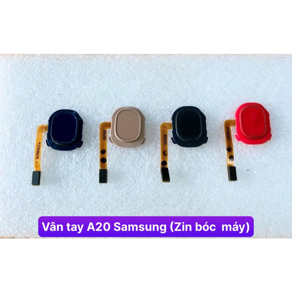 Vân tay A20 Samsung