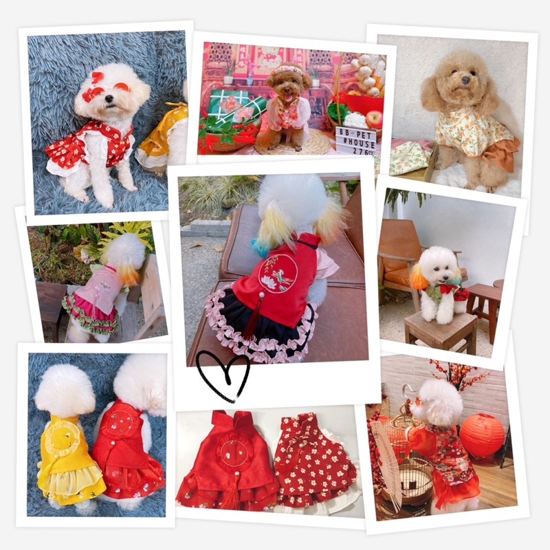 Áo dài Tết chó mèo/Váy Tết cho thú cưng