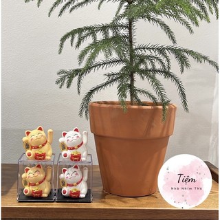 Mèo thần tài vẫy tay dễ dương