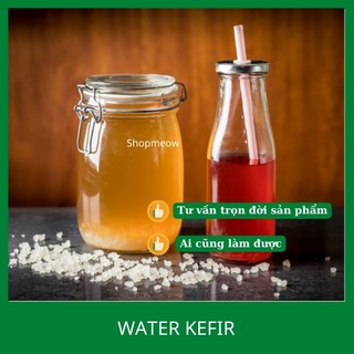 Nấm nước - Water Kefir
