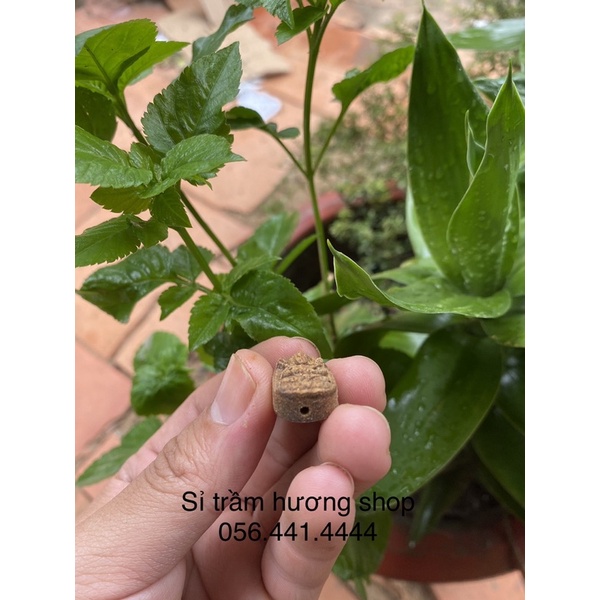 Charm Hư Không Tạng Bồ Tát trầm hương tốc