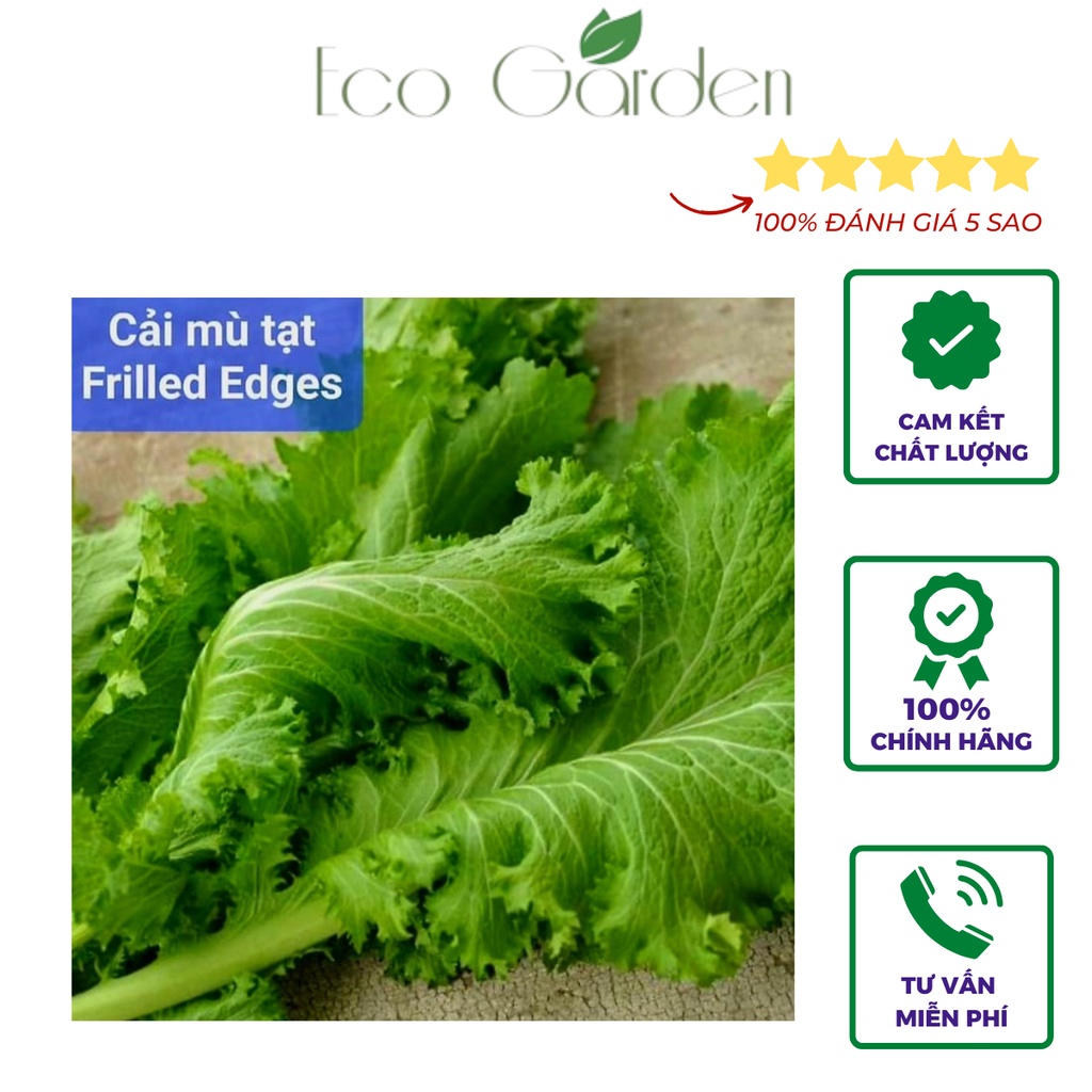Hạt Giống Cải Mù Tạt Frilled Edges nhập Mỹ