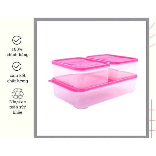 Combo 3 hộp đựng cơm- Hộp bảo quản thực phẩm màu hồng- Màu Xanh